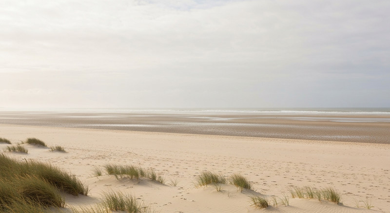 Early morning light across a white sand beach with rice grass and Atlantic dunes in the background, soft pale tones