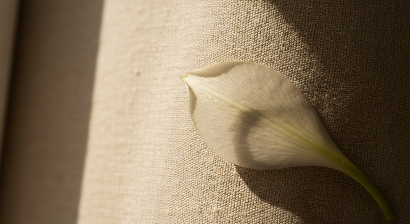 Close detail of a pale organic petal form on warm linen fabric, soft diffused light, minimal editorial aesthetic