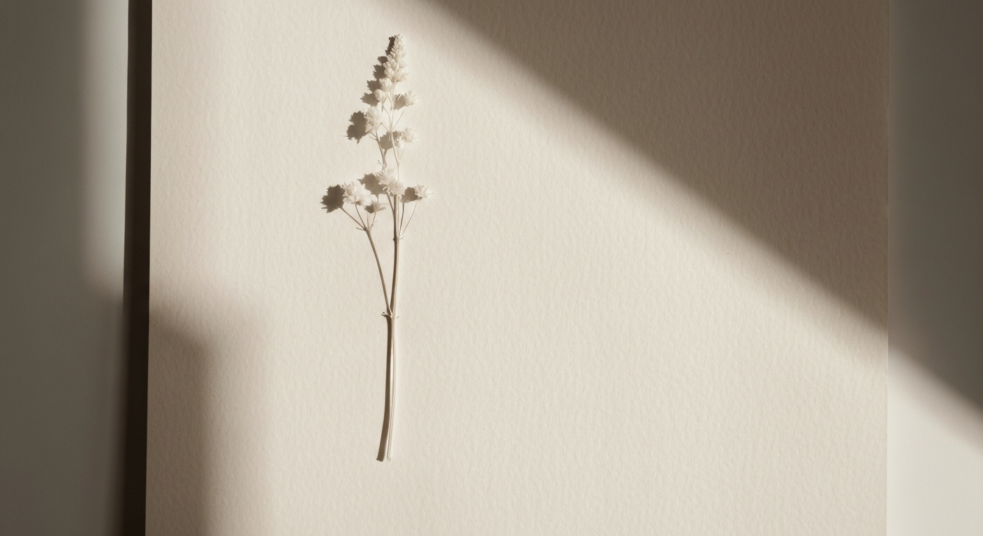 White botanical pressed flower on textured paper in soft diffused daylight, editorial minimalist still life photography